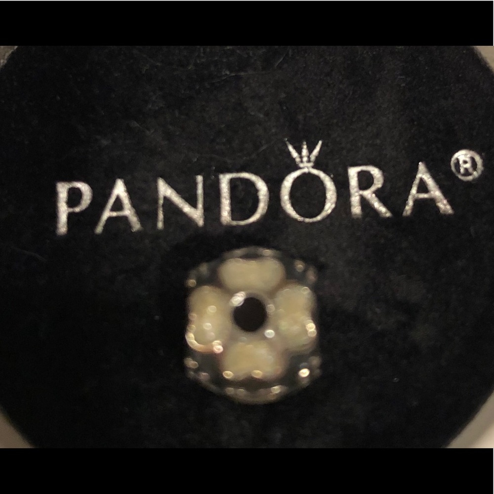 Pandora black enamel charm